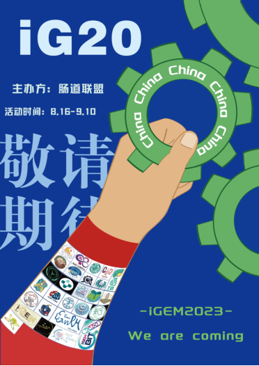 5261dd53c4cf4725e5114d332cdd116c