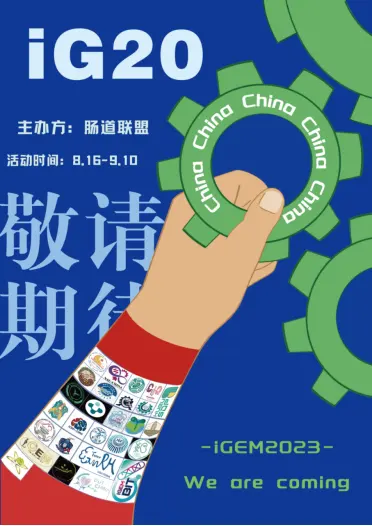5261dd53c4cf4725e5114d332cdd116c