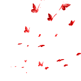 57e441c97736cbc0772e350a2dd6461a.gif