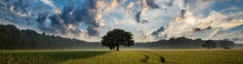 c9fa4b935fa2658a84b0055a8d95b4bb.jpg