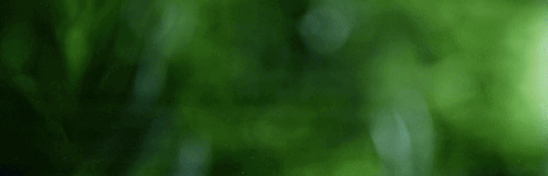 2f747606ca6e7fcfa96b35fb66afa6f4.gif