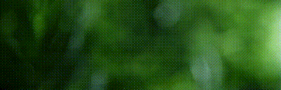 3876f88c9e425fb79577c5a6e8932547.gif