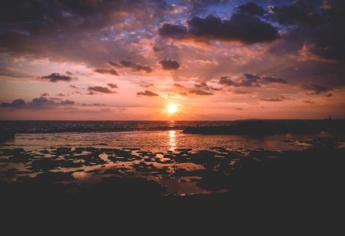 c8a396d0660ec655f768cb0af35bb7e4.png