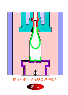 psbCADNNI6G