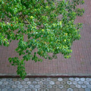 1adc5eb9ae7b9220f06b57a6f326a3f7