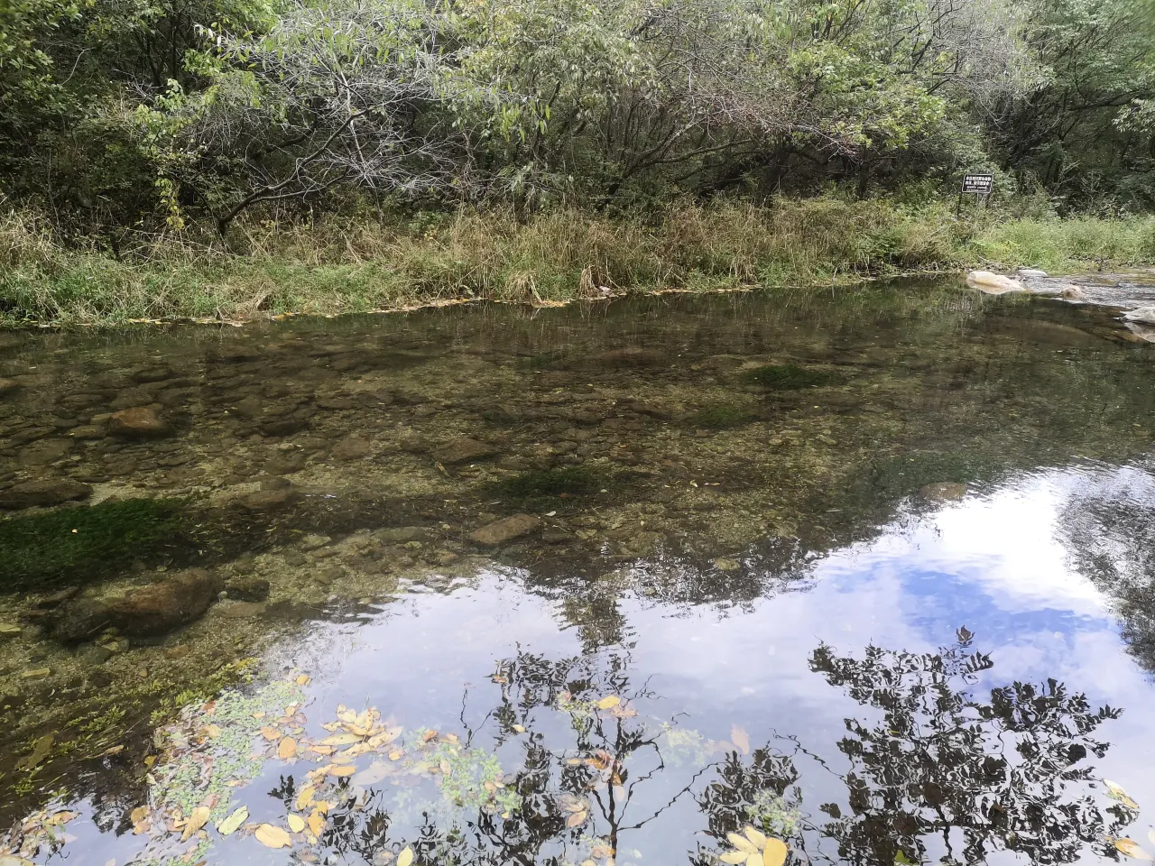Image 1727966213081