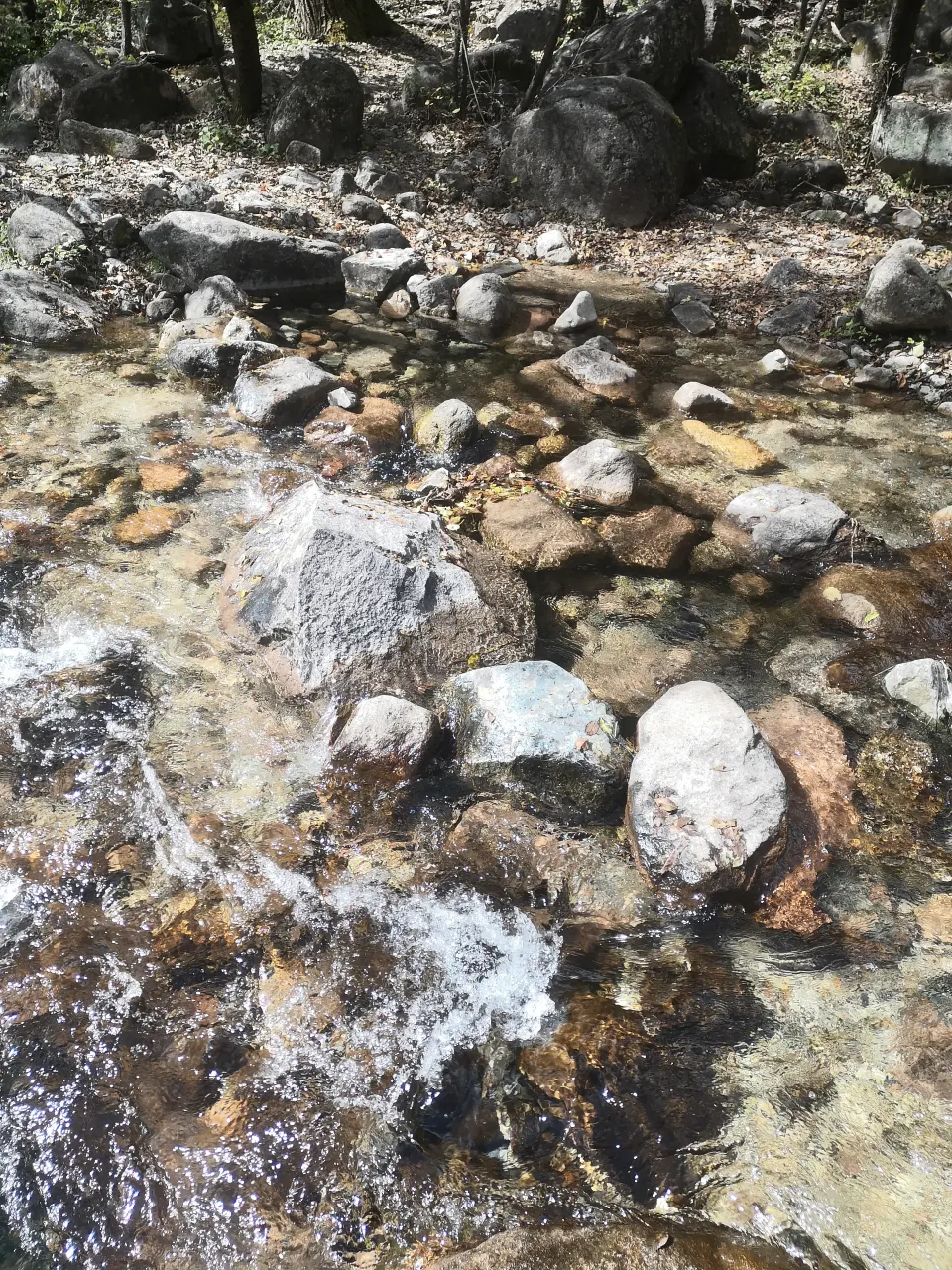 Image 1727966235364