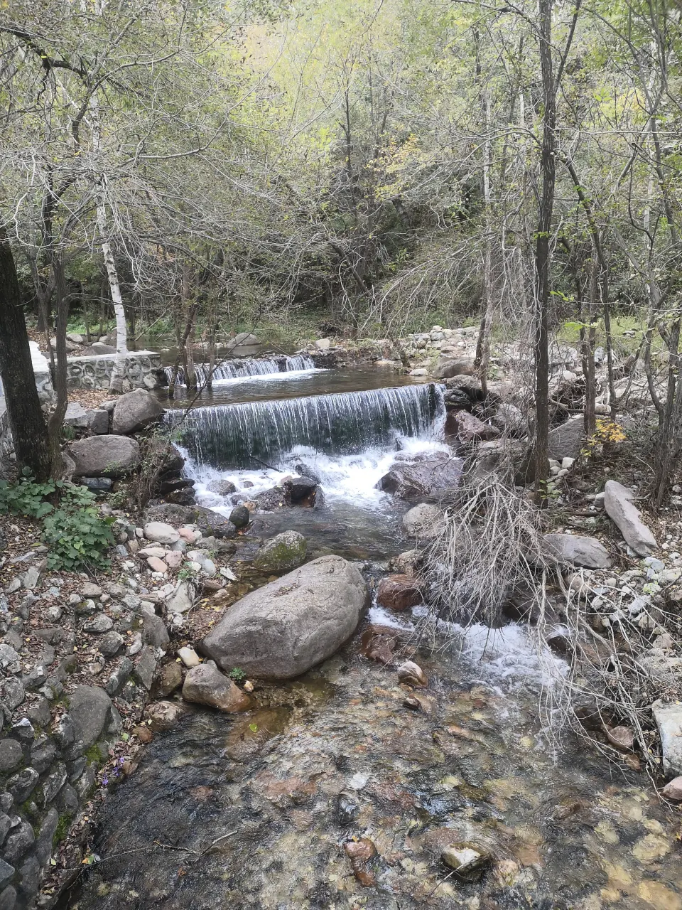 Image 1727966273538