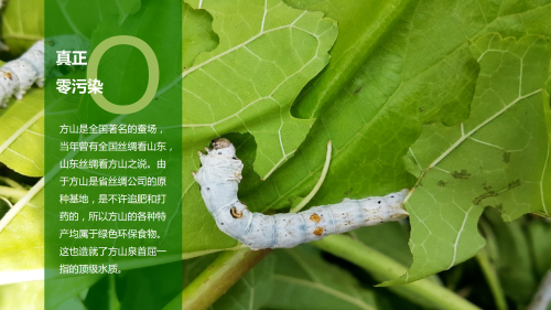 a4e66d6158b5c82f38d04f2ceb2f9a70.png