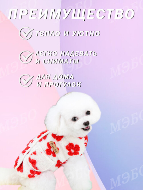 015c22bb9b21ae4b5c55023fb3a506be.jpg