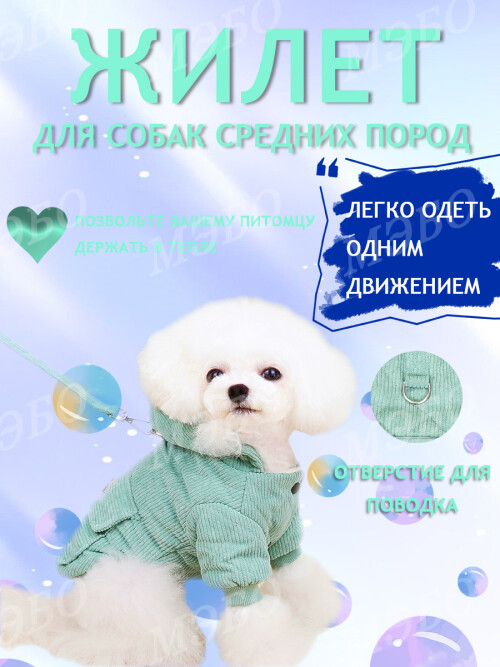 017f84d428a5e5f324cfad8c0d0110dd.jpg