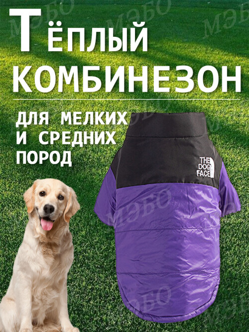 19eb6faec2bd2599b3b3471b3bf907bf.jpg