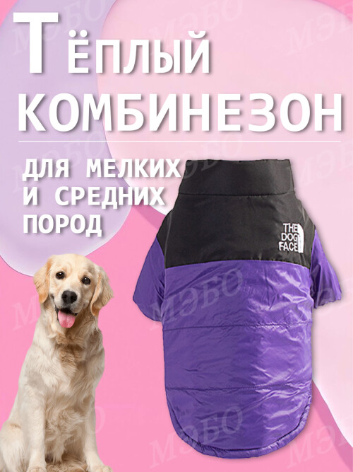1ed1d4da2cecb973f4618db4c5e37ba6.jpg