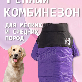 1ed1d4da2cecb973f4618db4c5e37ba6