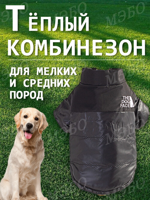 295f0629b5c6d681db41efc92e3558e0.jpg