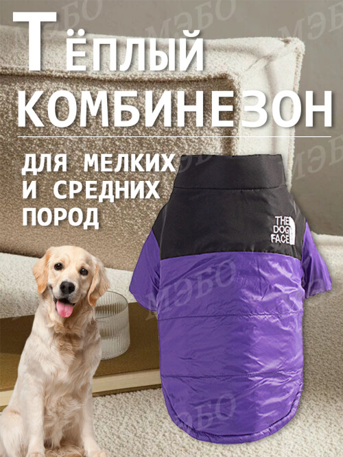 310a14bd81a81ba4af548aa8010495e6.jpg