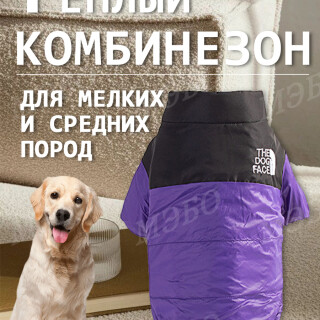 310a14bd81a81ba4af548aa8010495e6