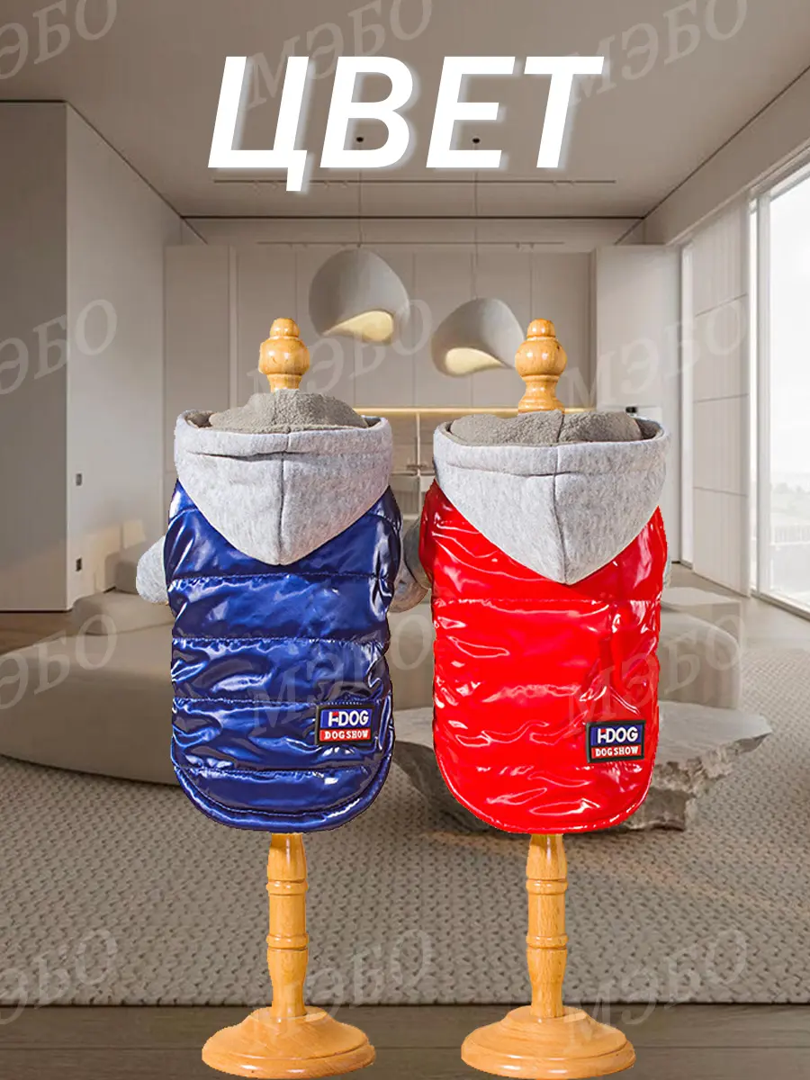 颜色