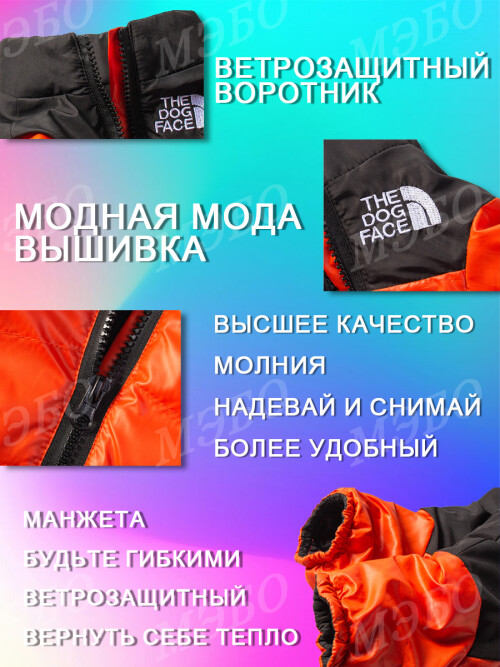 397dac937e962fe2cebe7abacfe29db1.jpg