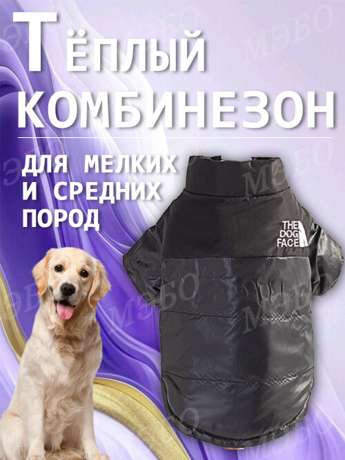 3c675c55687a26dfc1272946acc6b067.jpg