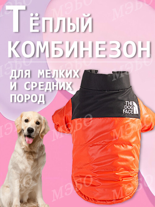 5a57f08c82c121197a7951c898cb34af.jpg