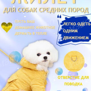 6765bf978bb83f373b817a8a7e4b1c21