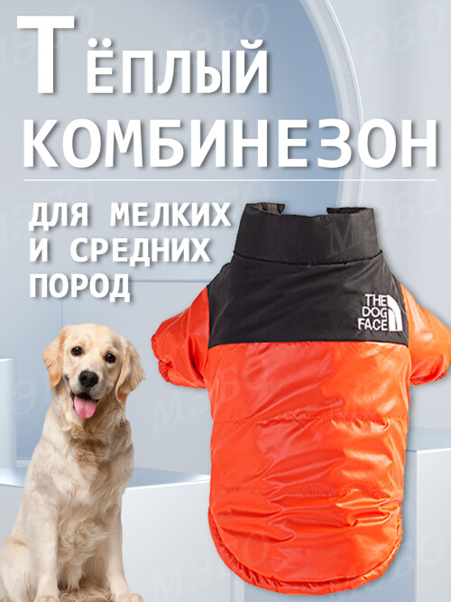 6af0ad7b8aa013e5c84b6003ae4d45ed.jpg