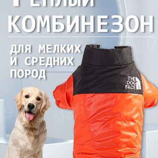 6af0ad7b8aa013e5c84b6003ae4d45ed
