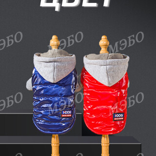 818e010080b91475f1ba6e013ad4f402