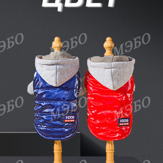 8801985c9cc9588a4db15b8639a8c53e