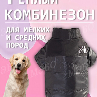 8badfd313293924993e8cb2fd4ff14c8