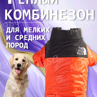 8fa3e5b199cc44605305f5634104b634