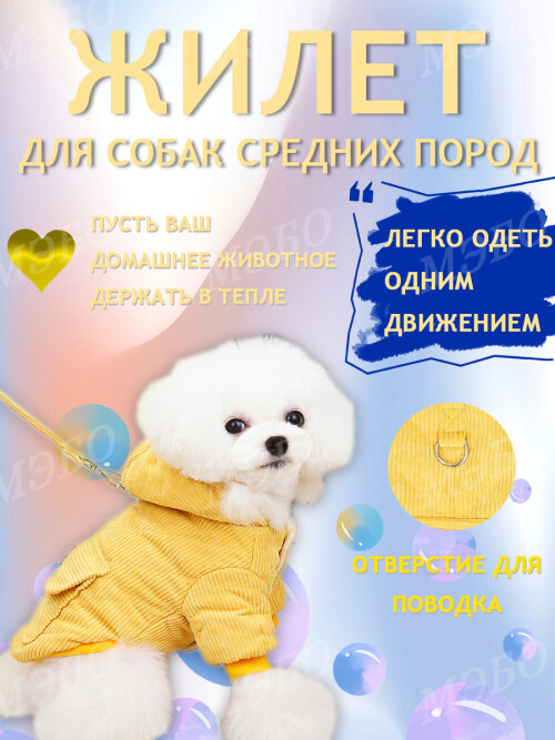 a6ffab42e511390a0759bd6f2b24915c.jpg