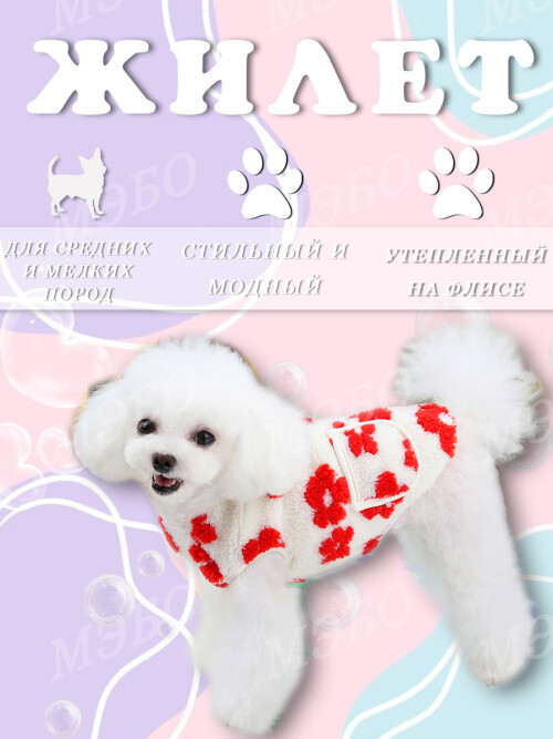 adfe5b485101172565d3a893f83ec3cb.jpg