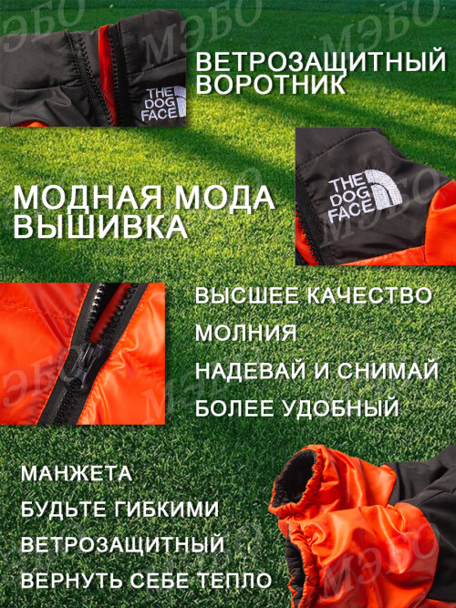 b491f43133d5a880d3237a0986c8ca9e.jpg
