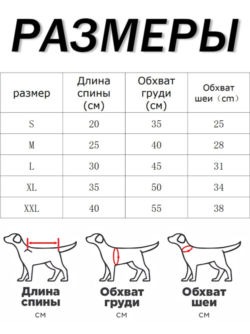bec84ba24a5e77a2da817a1fb7414483.jpg
