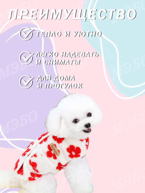 d5ad1e567c62f19c61c6a66a9db2f2a1.jpg