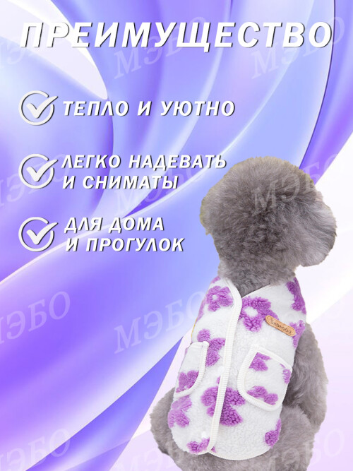 d6279115d9144682715fd9443cd446e0.jpg