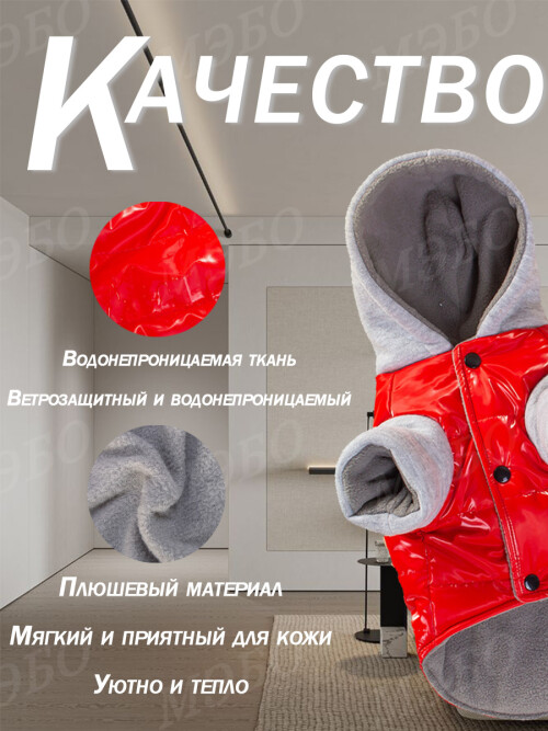 d71aea9911aac384229aa13f625d41c7.jpg