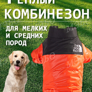e6279baff2b09f4eb11ff956ac279e2e