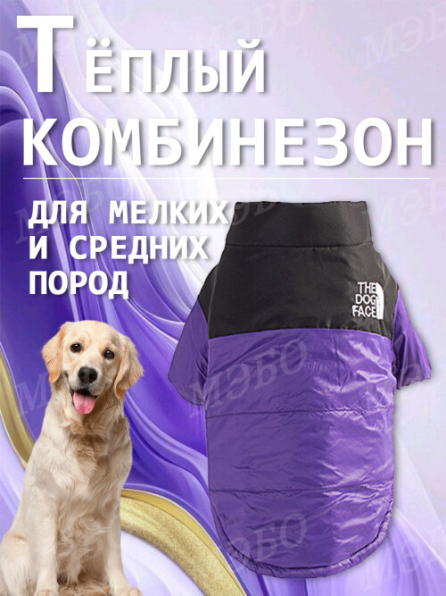 fc896727ec40773e82294acb49248edb.jpg