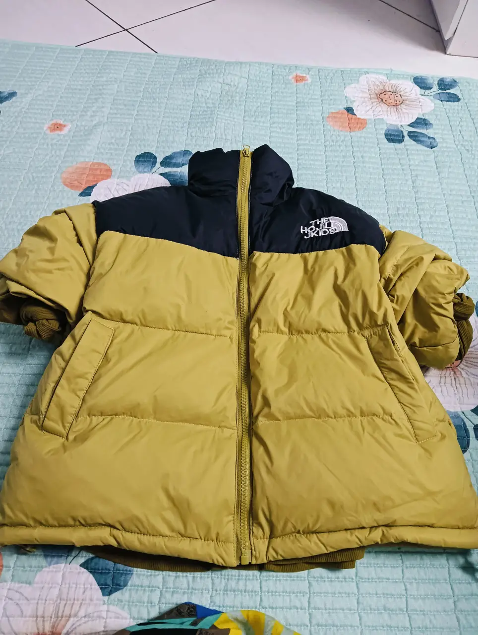IMG20241103172609