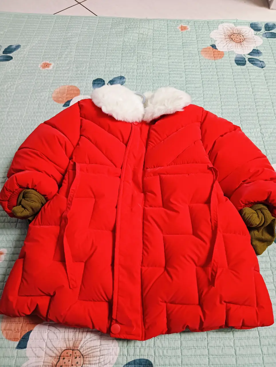 IMG20241103175512