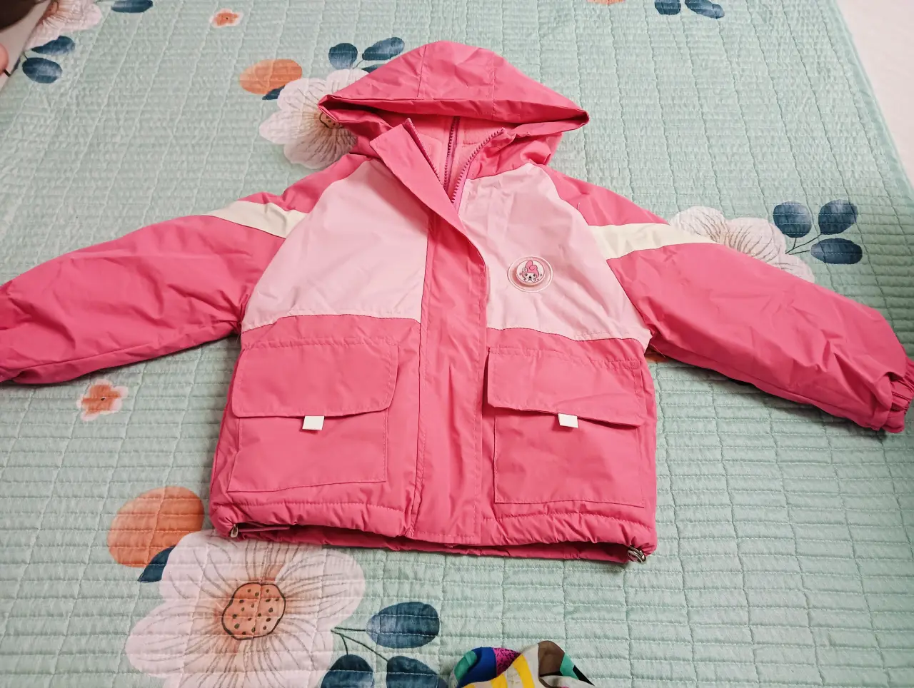 IMG20241103163655