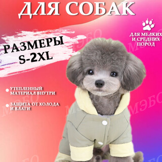 02ab3590e848370ccb74c412071fd242
