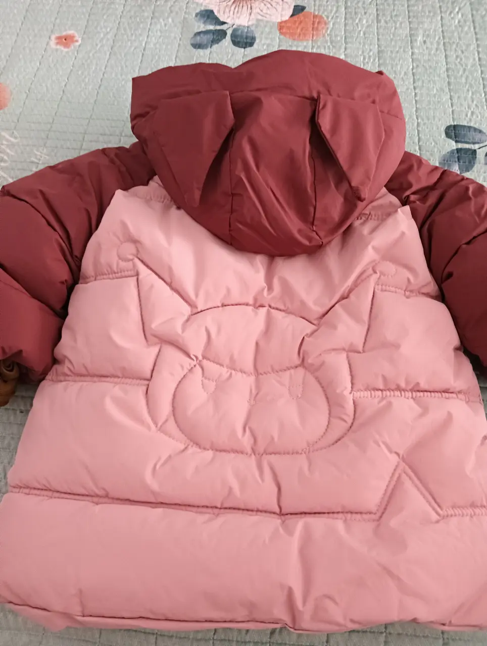 IMG20241104153725
