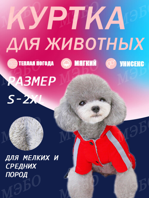 0bb4ec4106febee9158385a9c9165814.jpg