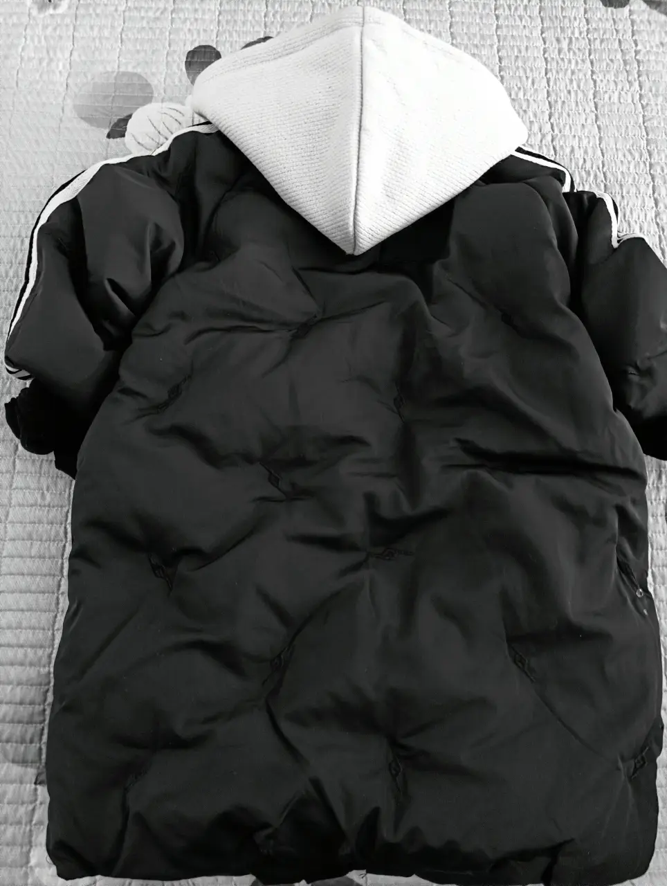 IMG20241104111814