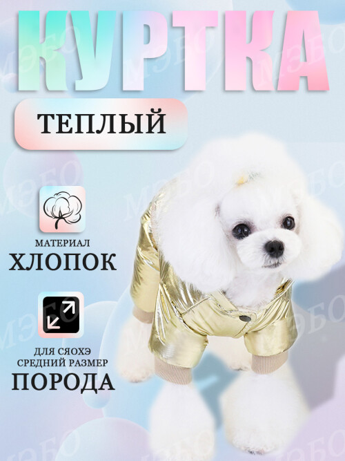 0caefd647c44125ac0152635cc09271d.jpg