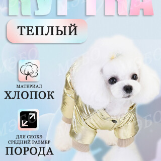 0caefd647c44125ac0152635cc09271d